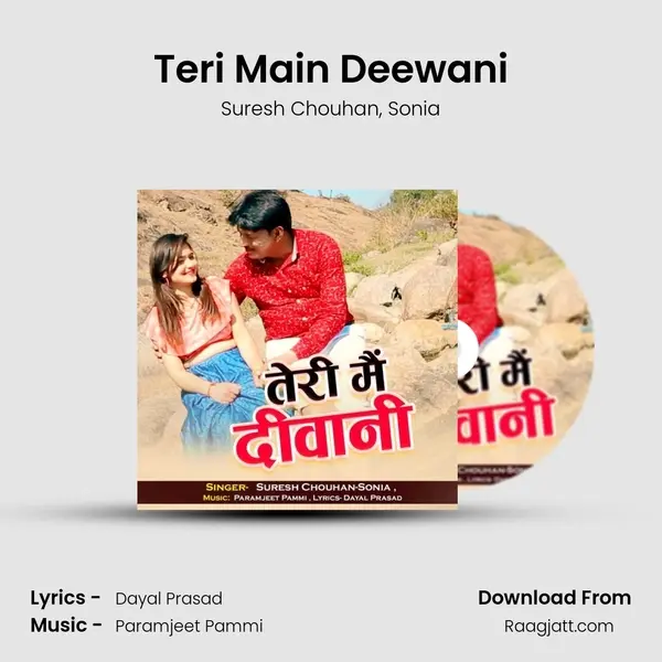 Teri Main Deewani mp3 song