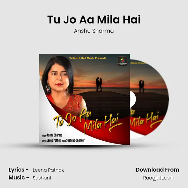 Tu Jo Aa Mila Hai mp3 song