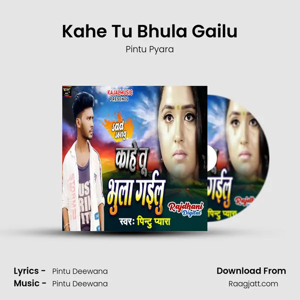 Kahe Tu Bhula Gailu - Pintu Pyara album cover 