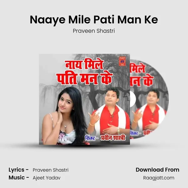 Naaye Mile Pati Man Ke mp3 song