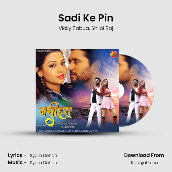 Sadi Ke Pin - Vicky Babua album cover 