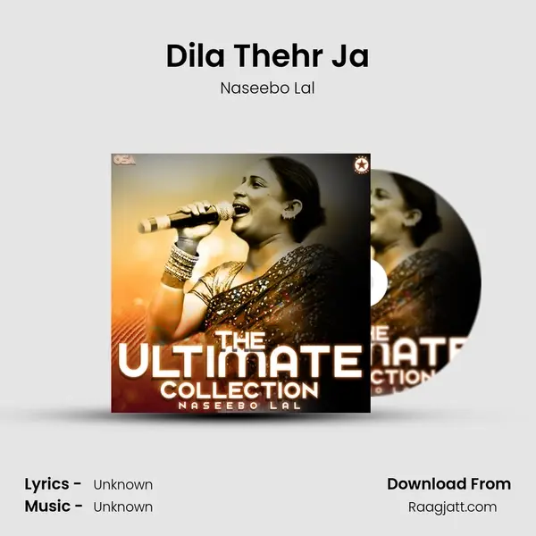 Dila Thehr Ja mp3 song