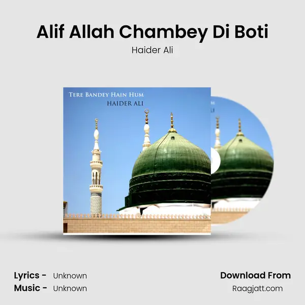 Alif Allah Chambey Di Boti - Haider Ali album cover 