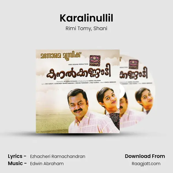 Karalinullil - Rimi Tomy album cover 