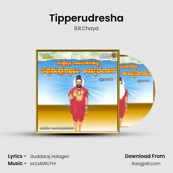 Tipperudresha - B.R.Chaya album cover 