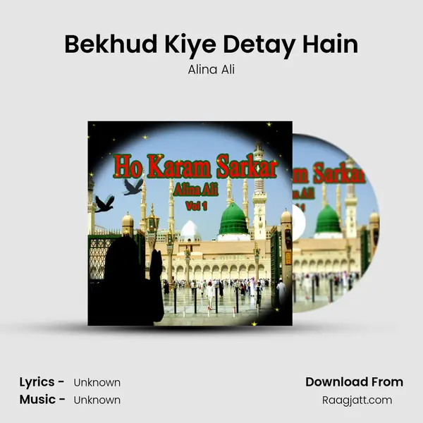 Bekhud Kiye Detay Hain - Alina Ali album cover 