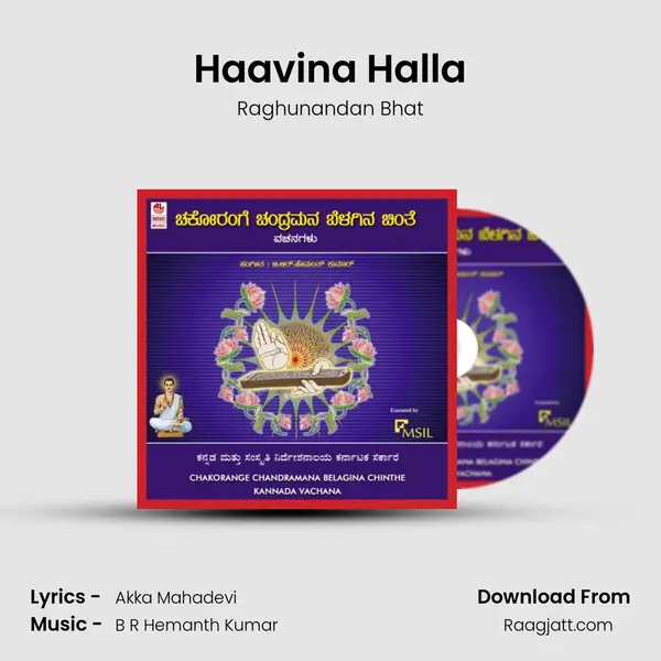 Haavina Halla - Raghunandan Bhat album cover 