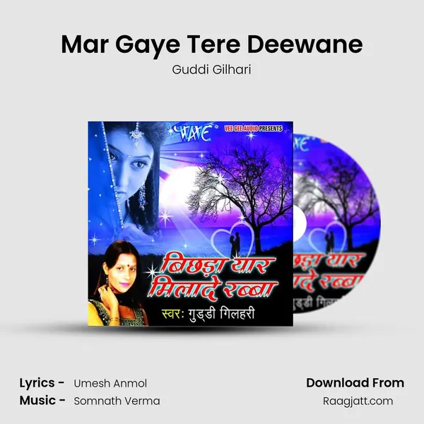 Mar Gaye Tere Deewane mp3 song