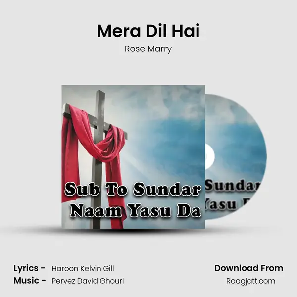 Mera Dil Hai - Rose Marry album cover 