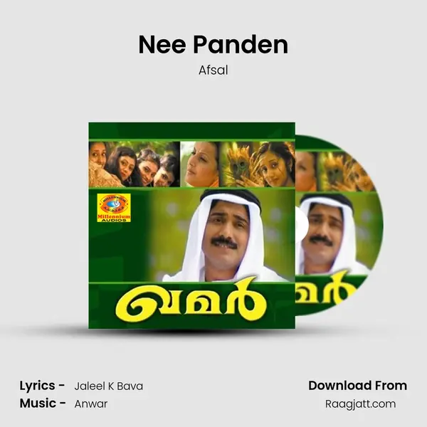 Nee Panden - Afsal album cover 