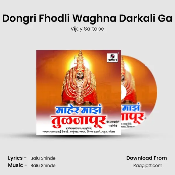 Dongri Fhodli Waghna Darkali Ga mp3 song