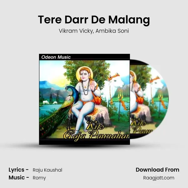 Tere Darr De Malang - Vikram Vicky album cover 