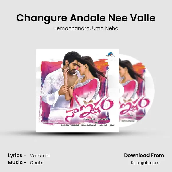 Changure Andale Nee Valle mp3 song