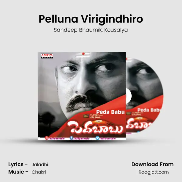 Pelluna Virigindhiro - Sandeep Bhaumik album cover 