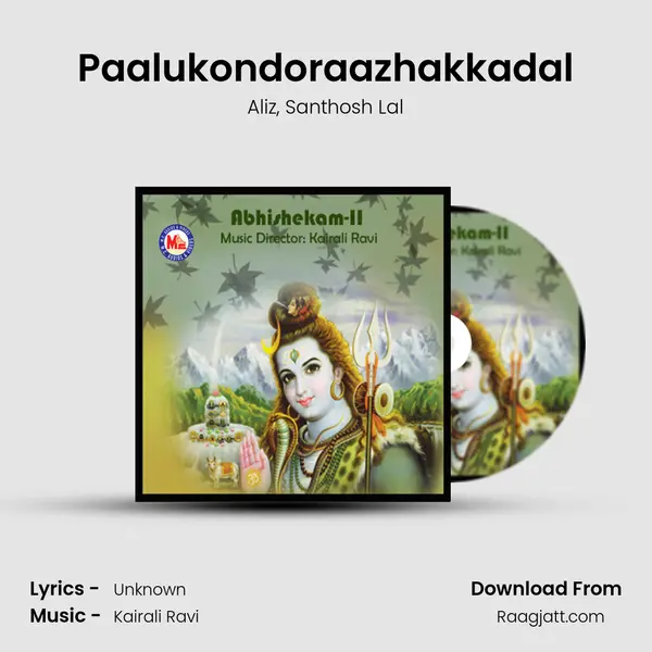 Paalukondoraazhakkadal - Aliz album cover 