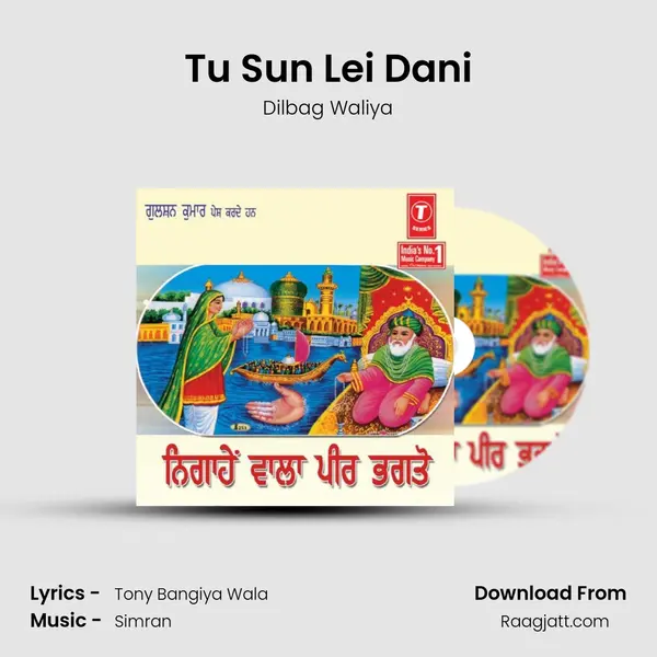 Tu Sun Lei Dani - Dilbag Waliya album cover 