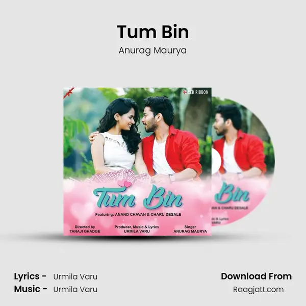 Tum Bin - Anurag Maurya album cover 