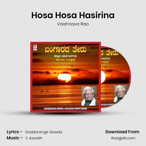 Hosa Hosa Hasirina - Vaishnava Rao album cover 