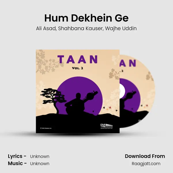 Hum Dekhein Ge - Ali Asad album cover 