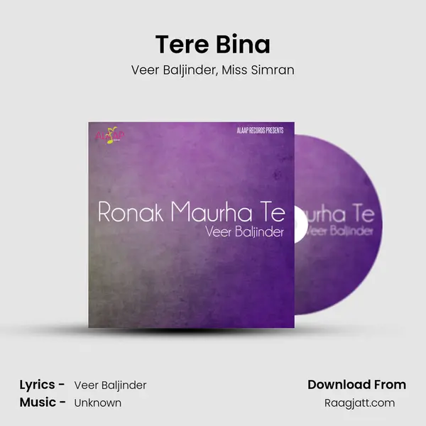 Tere Bina - Veer Baljinder album cover 