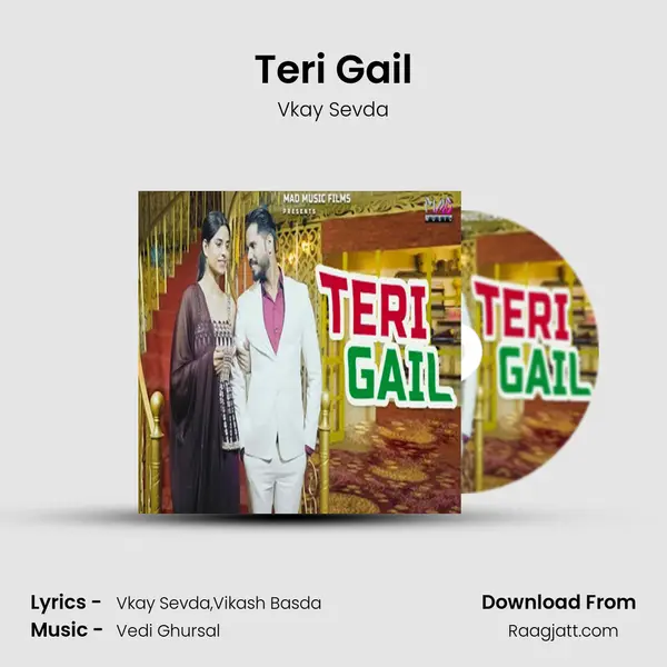 Teri Gail - Vkay Sevda album cover 