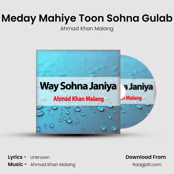 Meday Mahiye Toon Sohna Gulab mp3 song