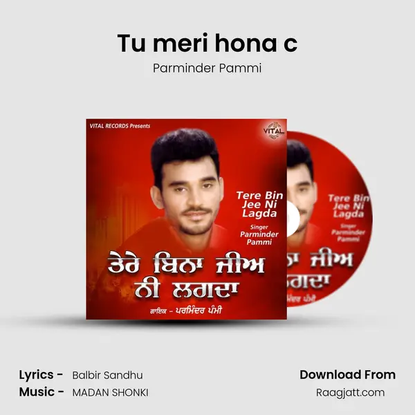 Tu meri hona c - Parminder Pammi album cover 