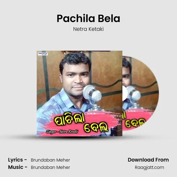 Pachila Bela - Netra Ketaki album cover 