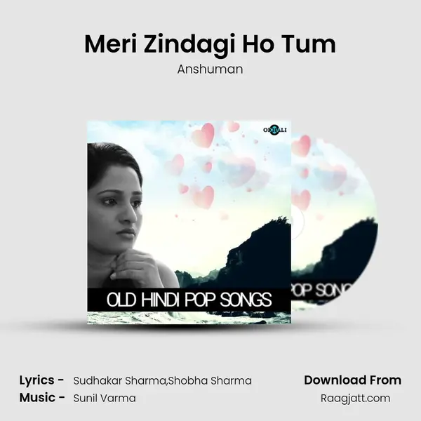 Meri Zindagi Ho Tum - Anshuman album cover 