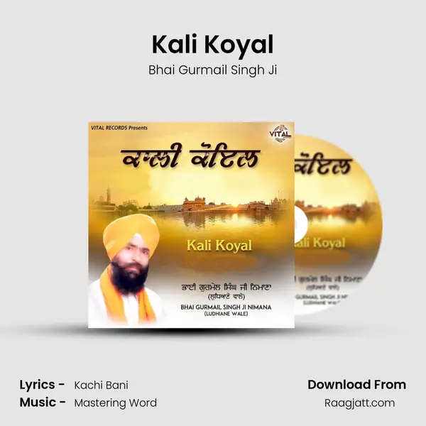 Kali Koyal mp3 song