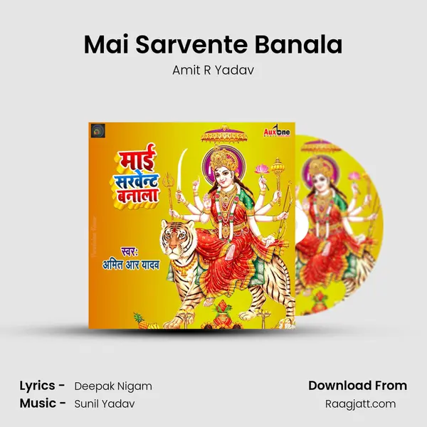 Mai Sarvente Banala - Amit R Yadav album cover 