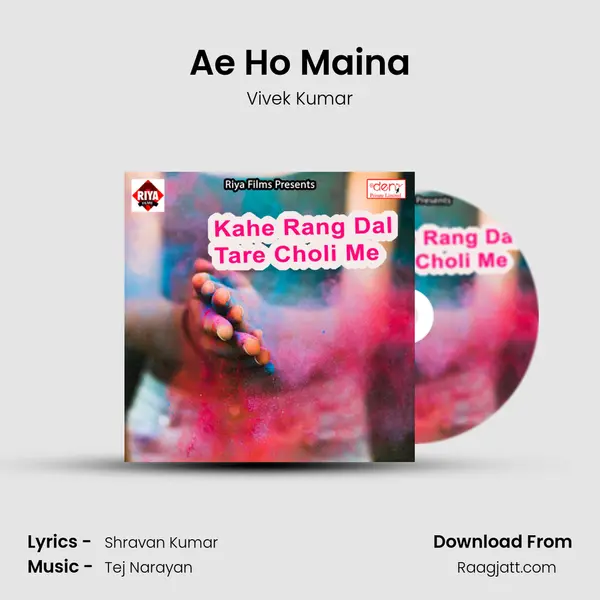 Ae Ho Maina - Vivek Kumar album cover 