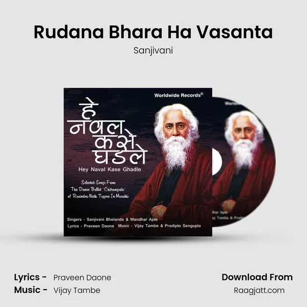 Rudana Bhara Ha Vasanta - Sanjivani album cover 