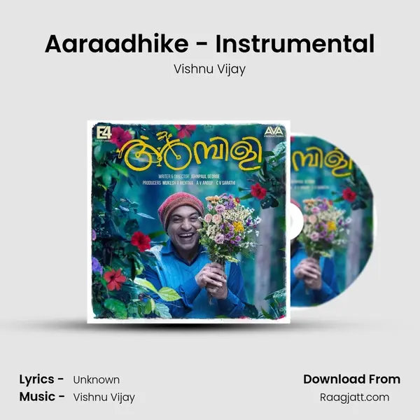 Aaraadhike - Instrumental - Vishnu Vijay album cover 