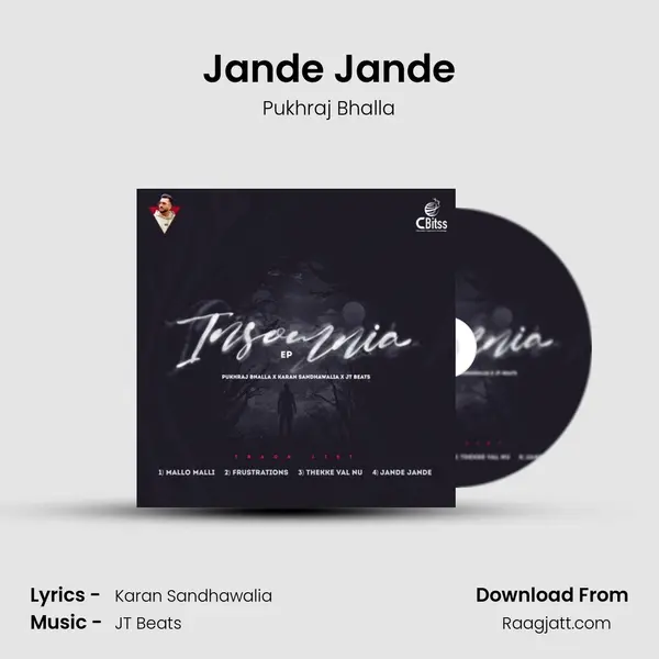 Jande Jande - Pukhraj Bhalla album cover 