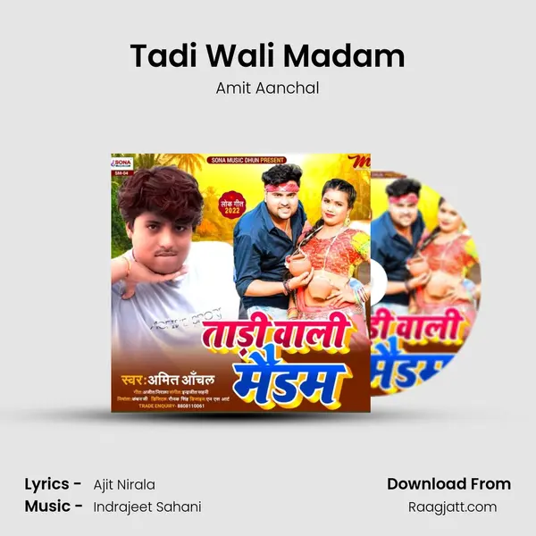 Tadi Wali Madam - Amit Aanchal album cover 