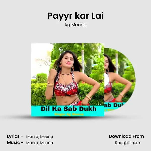 Payyr kar Lai - Ag Meena album cover 