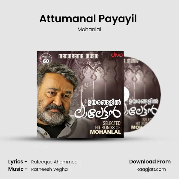 Attumanal Payayil (From - Run Baby Run) mp3 song