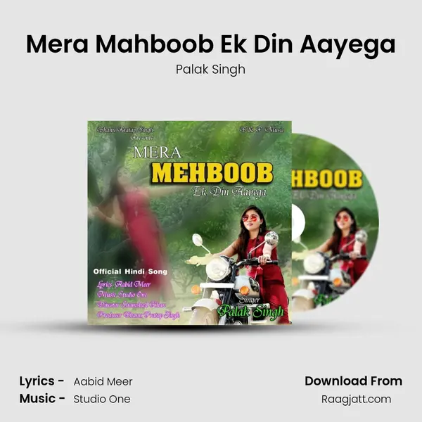 Mera Mahboob Ek Din Aayega - Palak Singh album cover 