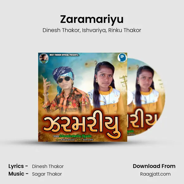 Zaramariyu - Dinesh Thakor album cover 