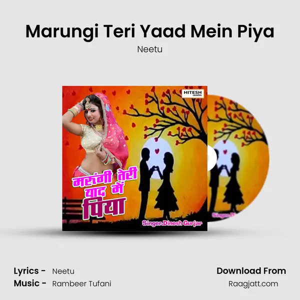 Marungi Teri Yaad Mein Piya - Neetu album cover 