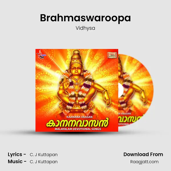 Brahmaswaroopa - Vidhysa album cover 