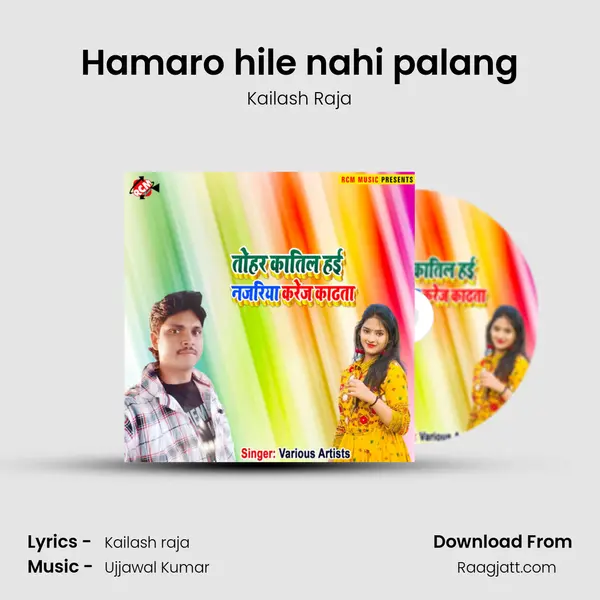 Hamaro hile nahi palang - Kailash Raja album cover 