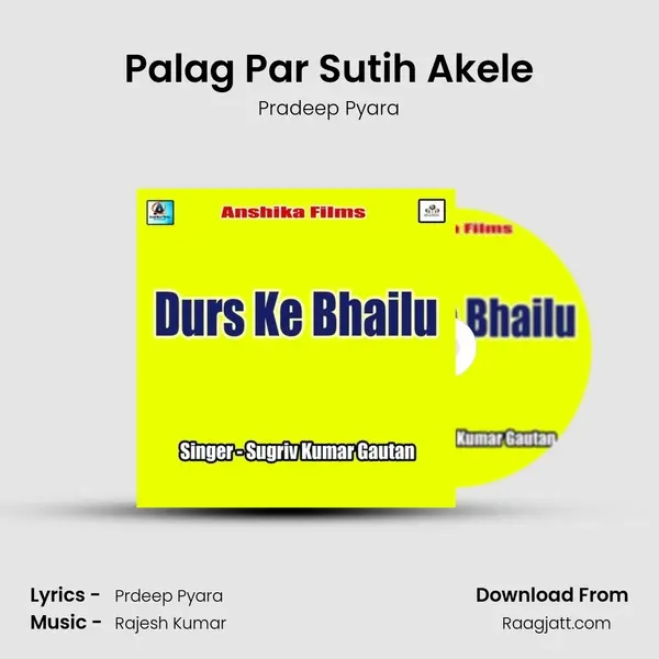 Palag Par Sutih Akele - Pradeep Pyara album cover 