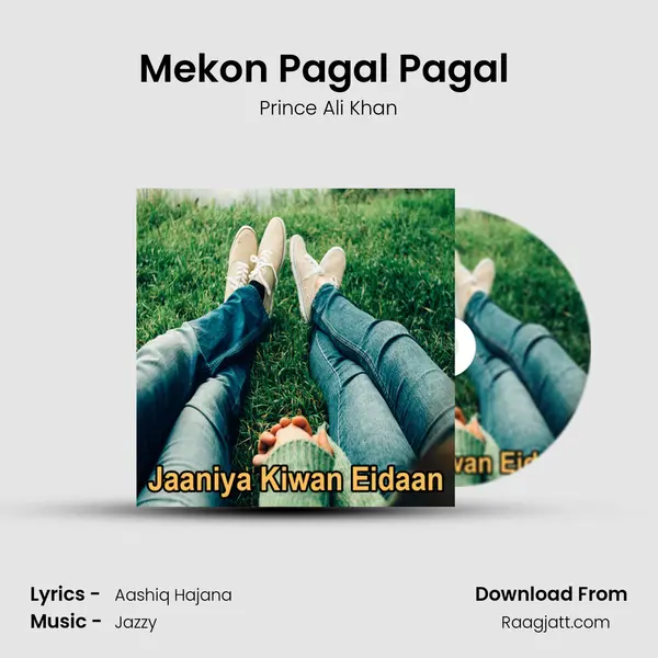 Mekon Pagal Pagal (Dohry Hi Dohry) - Prince Ali Khan album cover 