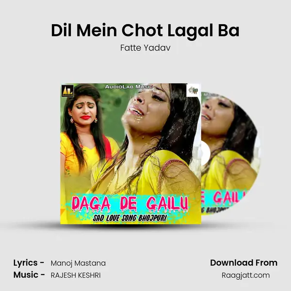 Dil Mein Chot Lagal Ba - Fatte Yadav album cover 