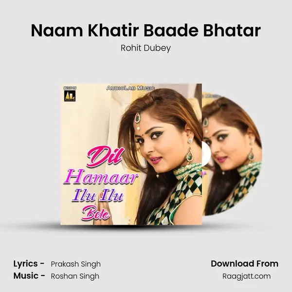 Naam Khatir Baade Bhatar - Rohit Dubey album cover 