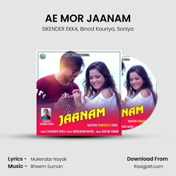 AE MOR JAANAM - SIKENDER EKKA album cover 