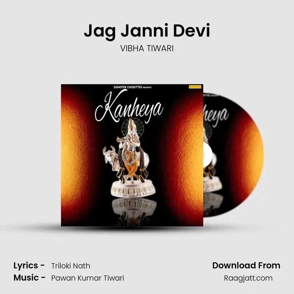 Jag Janni Devi - VIBHA TIWARI album cover 