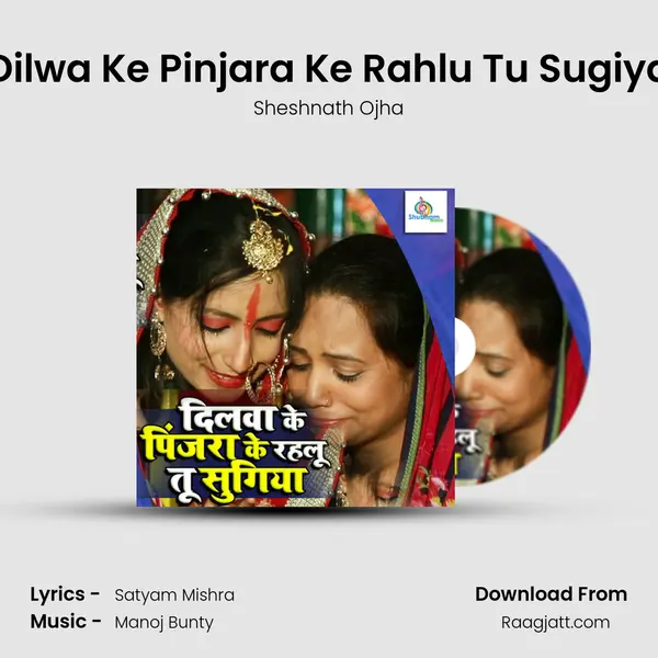 Dilwa Ke Pinjara Ke Rahlu Tu Sugiya mp3 song